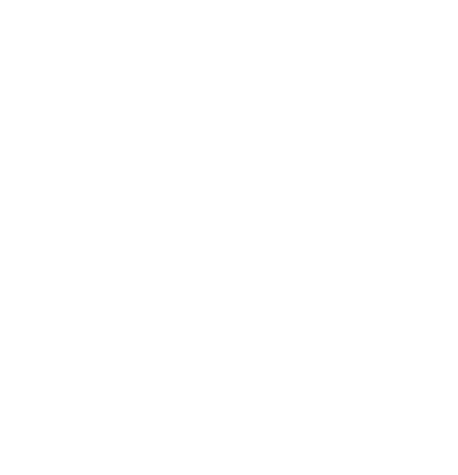BZ Dev Works logo